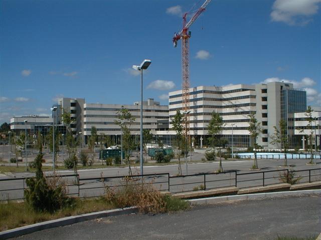 ICREA - ROMA