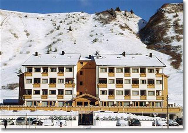 HOTEL GREIF - PASSO CAMPOLONGO - BELLUNO